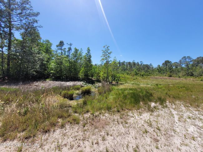 2155 State Road 40, Home with 0 bedrooms, 0 bathrooms and null parking in De Leon Springs FL | Image 51