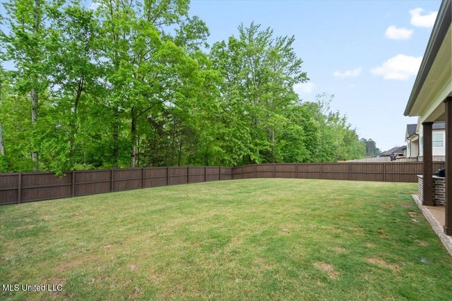 Peaceful backyard | Image 24