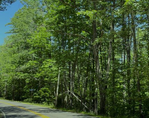 Map 5 Punk Point Rd, Jefferson, ME, 04348-3154 | Card Image