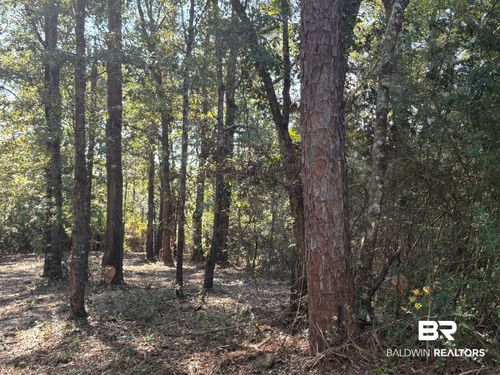 40703 County Road 39, Bay Minette, AL, 36507 | Card Image