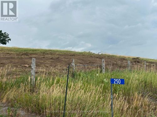 250 Concession Rd 13 E, Hastings, ON, K0L1Y0 | Card Image