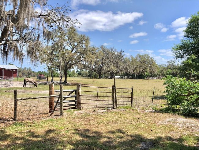166 Buckhorn Run, House other with 3 bedrooms, 2 bathrooms and null parking in Lakeland FL | Image 24