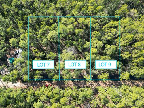 789 16th St, Santa Rosa Beach, FL, 32459 | Card Image