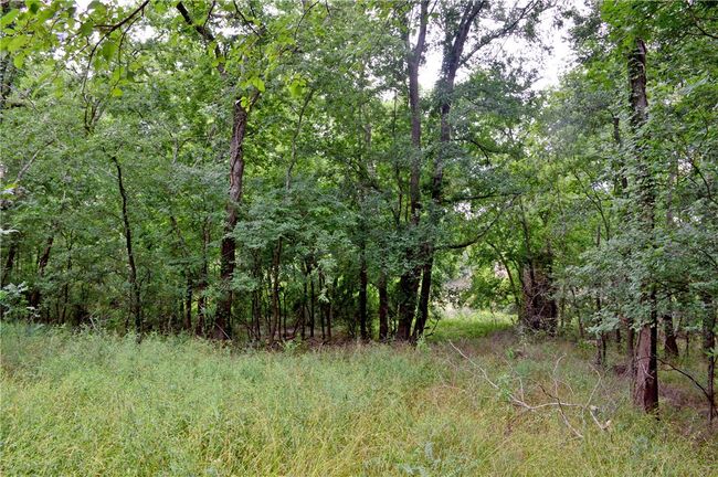 View of woods | Image 25