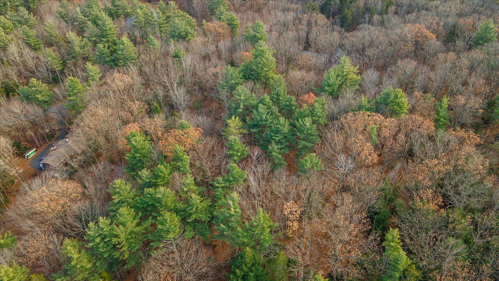 Land in Hancock 2
