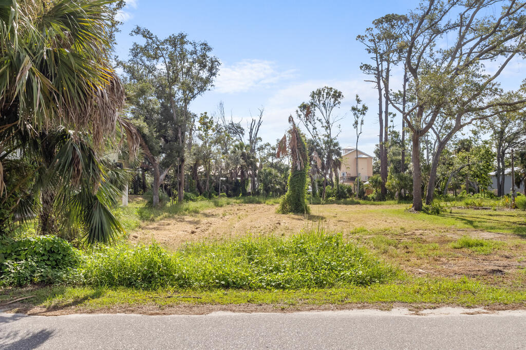 Land in Steinhatchee 5