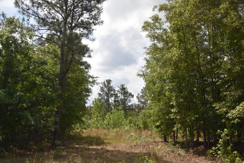 Tbd Hawthorne Drive, Kingstree, SC, 29556 | Card Image