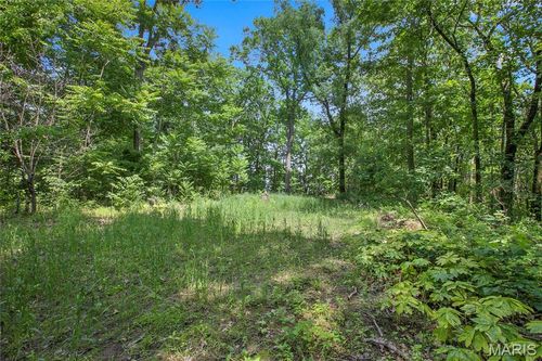 8.75 acres Mississippi Queen Court, Festus, MO, 63028 | Card Image