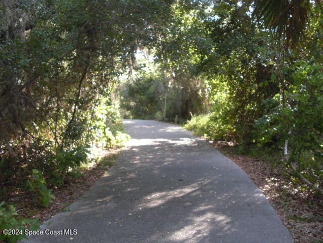 Nature Trail around Clearlake | Image 38