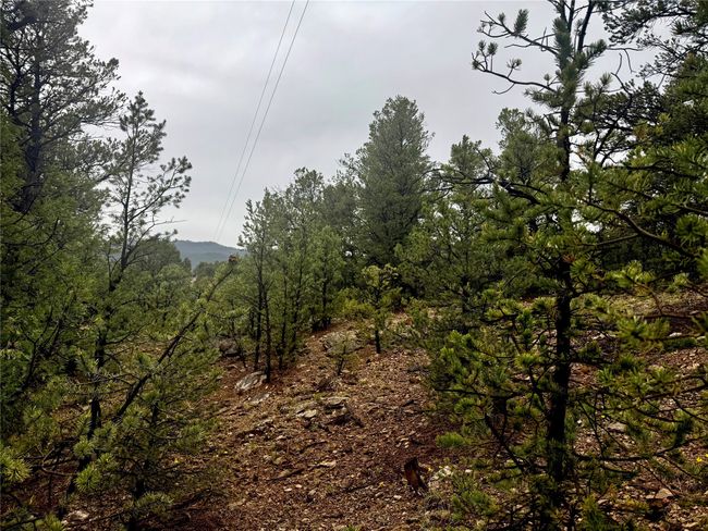 1 N Main St, Home with 0 bedrooms, 0 bathrooms and null parking in Pecos NM | Image 16