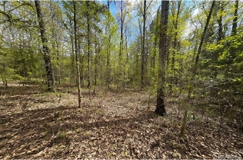 Land in Fultondale 4