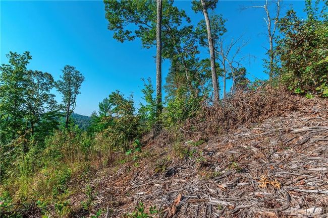 50 Jakes Landing Way S, Home with 0 bedrooms, 0 bathrooms and null parking in Ellijay GA | Image 29