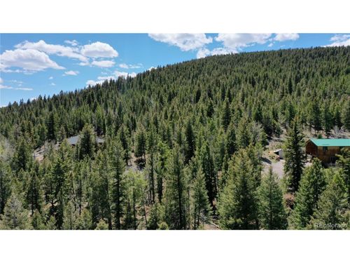 1008 S Pine Dr, Bailey, CO, 80421-2333 | Card Image