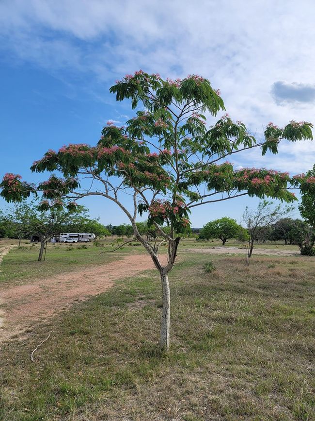 4770 S Ranch Road 1623, Home with 0 bedrooms, 0 bathrooms and null parking in Stonewall TX | Image 4
