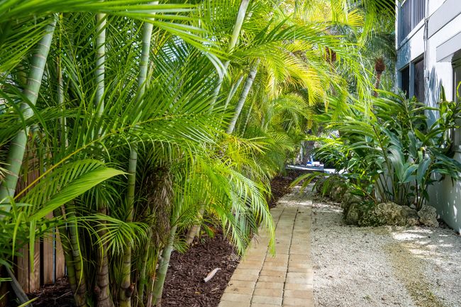 Side Paver Walkway | Image 35
