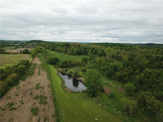 5120 Tellier Rd, Home with 0 bedrooms, 0 bathrooms and null parking in Newark NY | Image 7