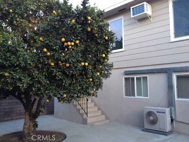 Residential Lease in Burbank 5