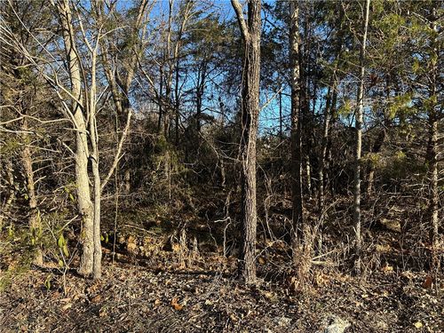 1739 Old Arkana Rd, Mountain Home, AR, 72653 | Card Image