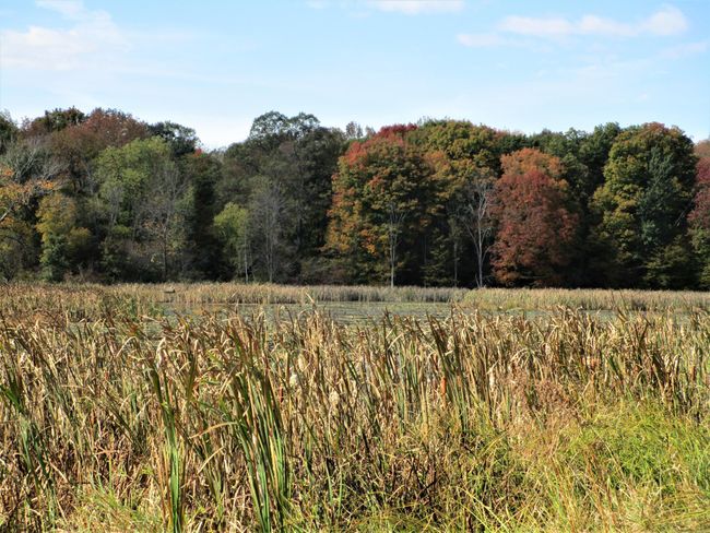 Larger Pond In Front | Image 21