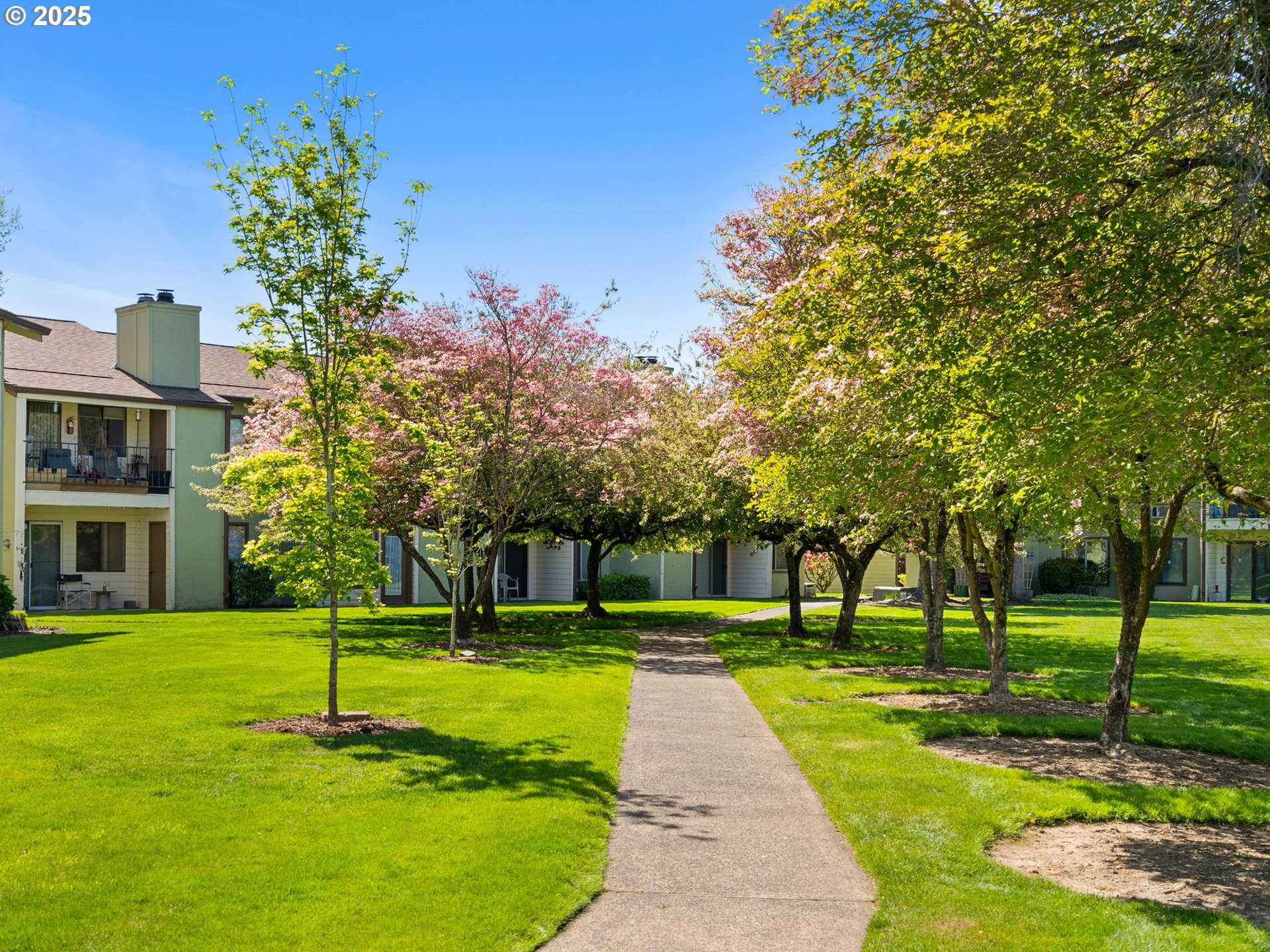 Residential in Portland 3