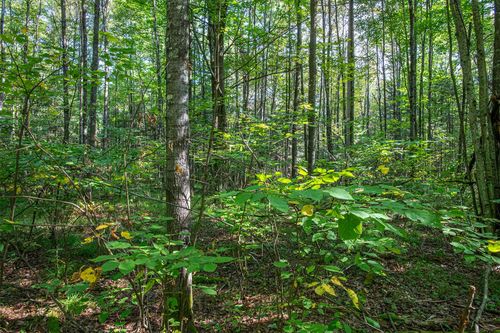 lot-2-Off Elm Dr, Eagle River, WI, 54521 | Card Image