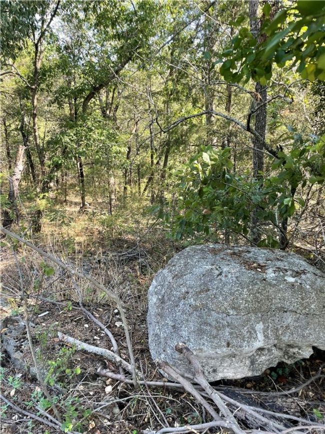 Loaded with beautiful native stones | Image 8