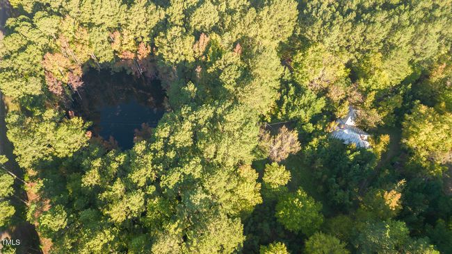 011_dji_0034-edit | Image 9