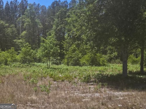 0 Edgar Lane Rd, Millen, GA, 30442 | Card Image