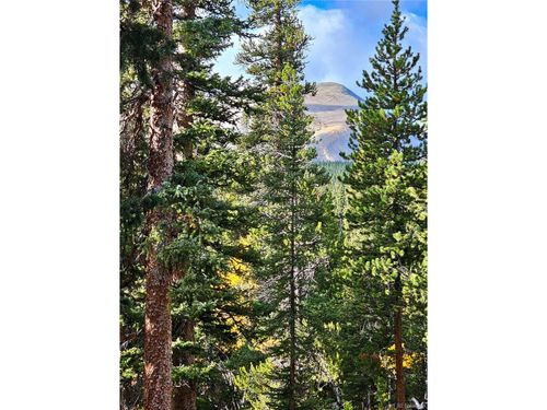 102 Gold Trl, Fairplay, CO, 80440-5194 | Card Image