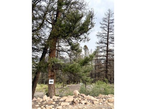 0 Middle Fork Vis, FAIRPLAY, CO, 80440 | Card Image