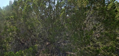 8104 Aztec Trl, Leander, TX, 78645 | Card Image