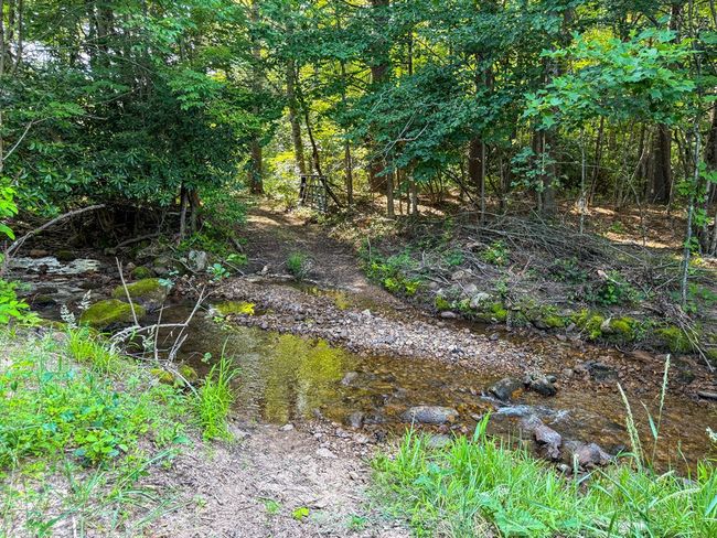 2486 Laurel Fork Rd, Home with 0 bedrooms, 0 bathrooms and null parking in Rocky Gap VA | Image 32