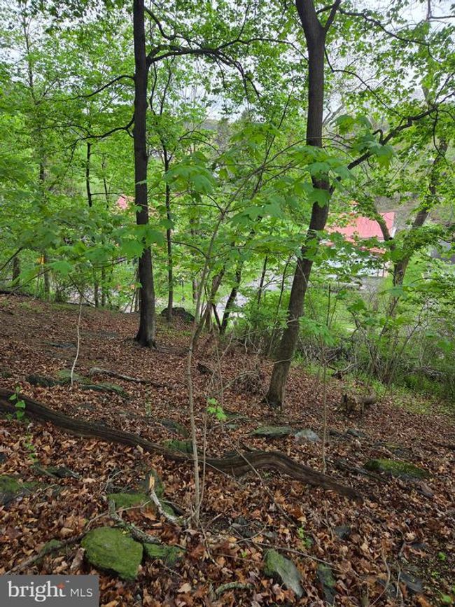 0 W Clearview Dr, Home with 0 bedrooms, 0 bathrooms and null parking in GLEN ROCK PA | Image 23
