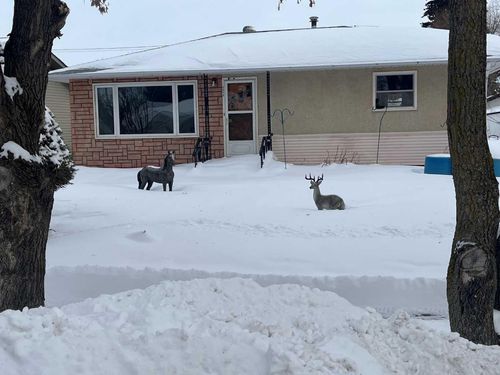 5015 53 St, Mannville, AB, T0B2W0 | Card Image