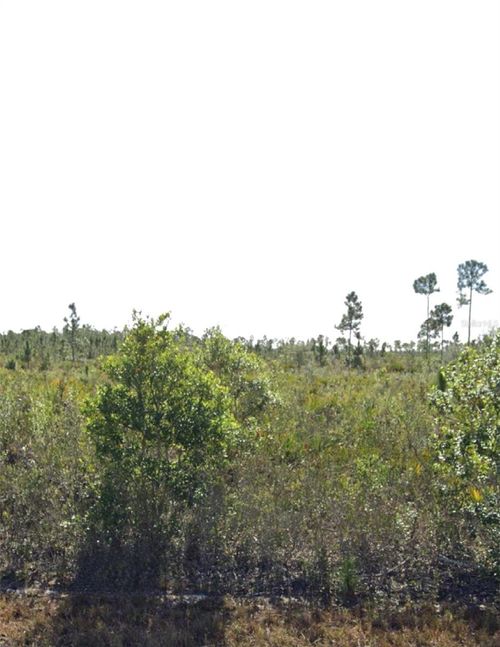 903 Calliandra Dr, Indian Lake Estates, FL, 33855 | Card Image