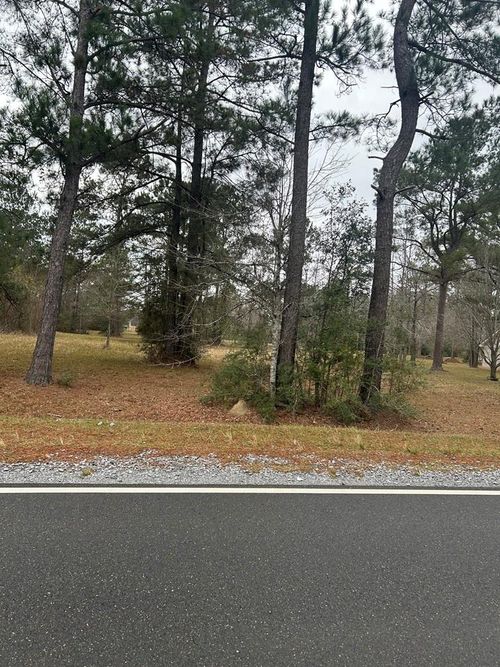 Lot 19 George Wise Rd, Carriere, MS, 39426-5148 | Card Image