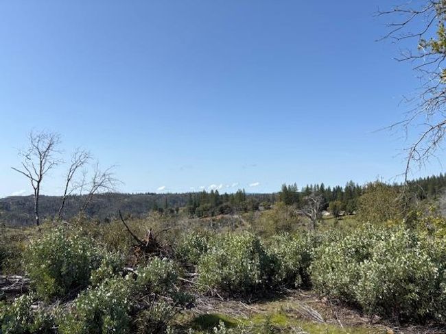 19292 Shawnee Trl, Home with 0 bedrooms, 0 bathrooms and null parking in Mokelumne Hill CA | Image 53