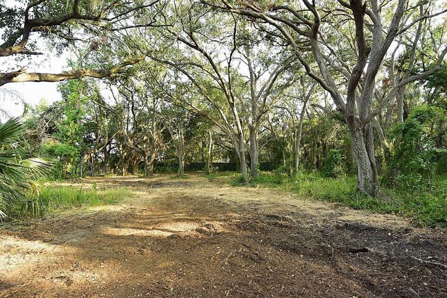7610 Anna Ave, Home with 0 bedrooms, 0 bathrooms and null parking in GIBSONTON FL | Image 9