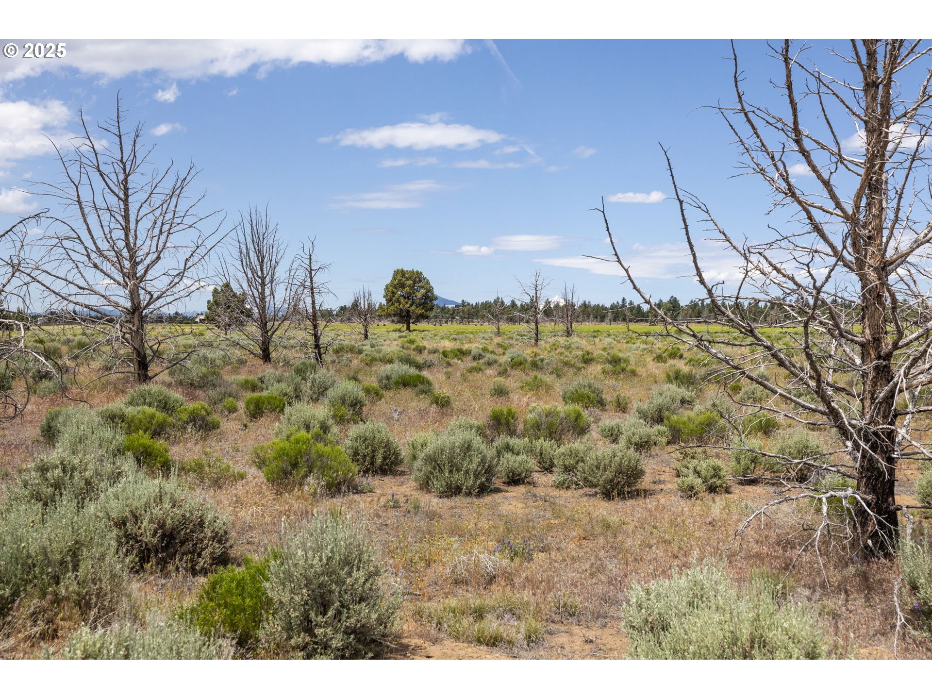 Land in Bend 2