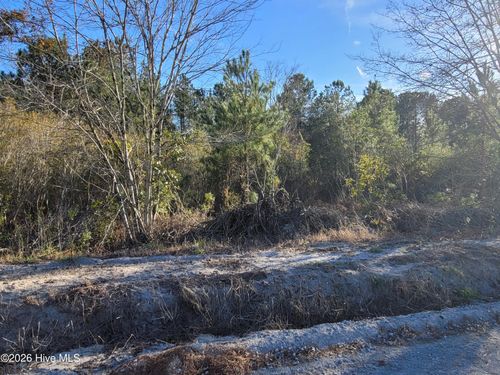 Lot 2 Auburn Dr, Loris, SC, 29569 | Card Image