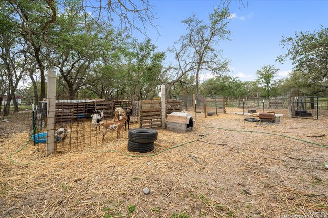 157 County Road 6816, House other with 4 bedrooms, 2 bathrooms and null parking in Natalia TX | Image 26
