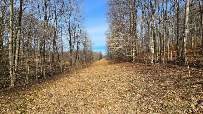 9885 W County Road 75 S, Home with 0 bedrooms, 0 bathrooms and null parking in Medora IN | Image 15