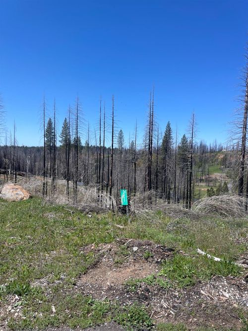 5011 Storybook Ct, Grizzly Flats, CA, 95636-9511 | Card Image