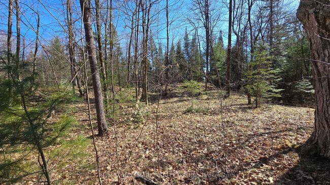 0000 Calabogie Rd, Home with 0 bedrooms, 0 bathrooms and null parking in Burnstown ON | Image 14