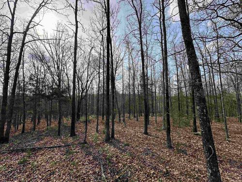 Lot 5 Kenzie Cv/Rocky Branch Estates, Beebe, AR, 72012 | Card Image