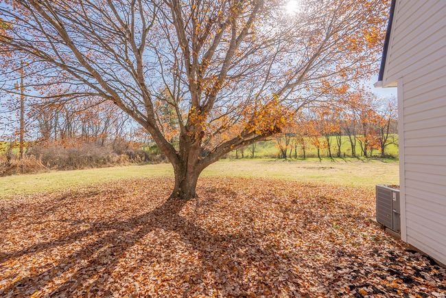 3052 Cedar Springs Rd., House other with 3 bedrooms, 4 bathrooms and 1 parking in Sugar Grove VA | Image 52