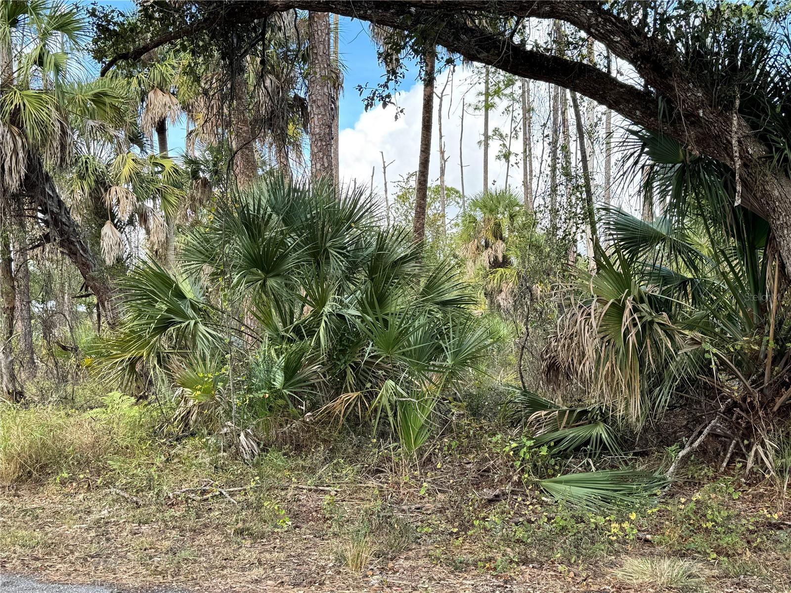 Land in PORT CHARLOTTE 4
