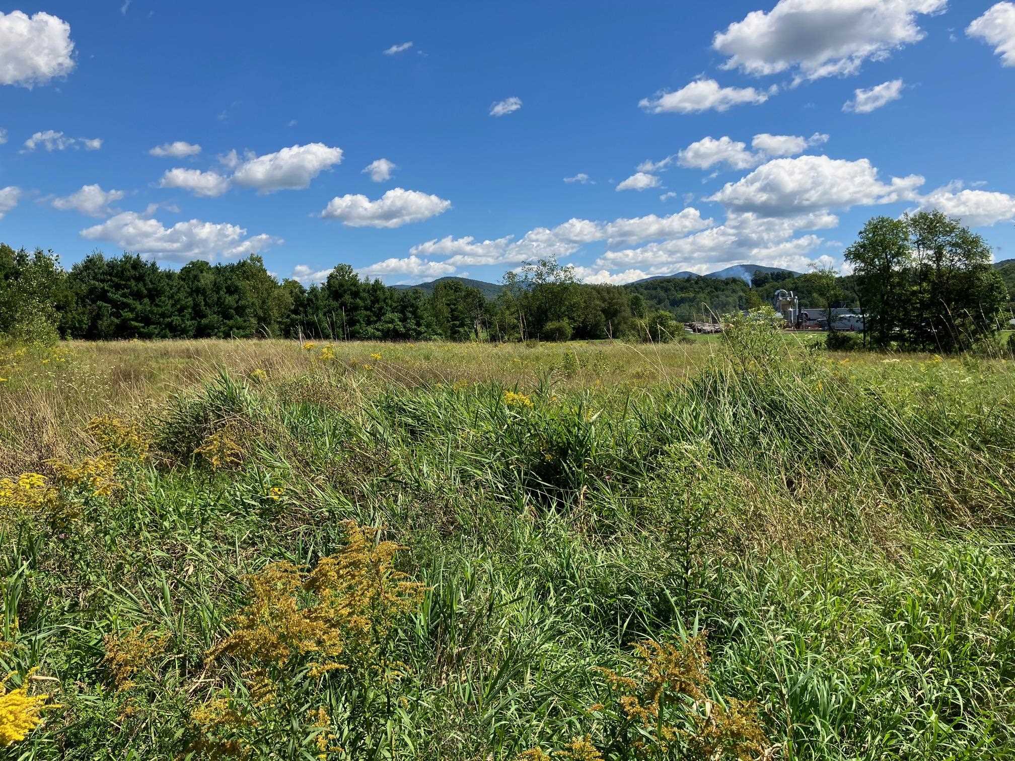 Land in Richford 5