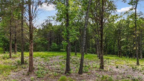 299 Whitetail Rdg, Dittmer, MO, 63023-1619 | Card Image
