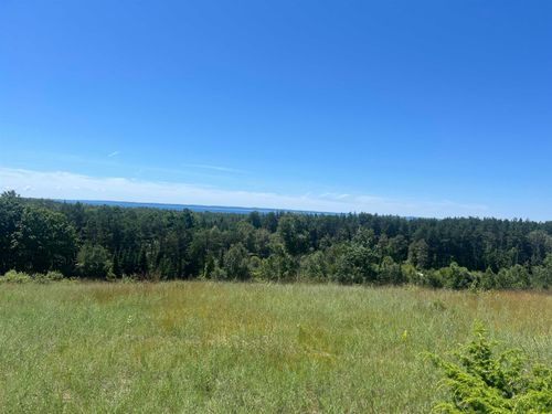 0 Fox Mission Trail, Banks Township, MI, 49622 | Card Image